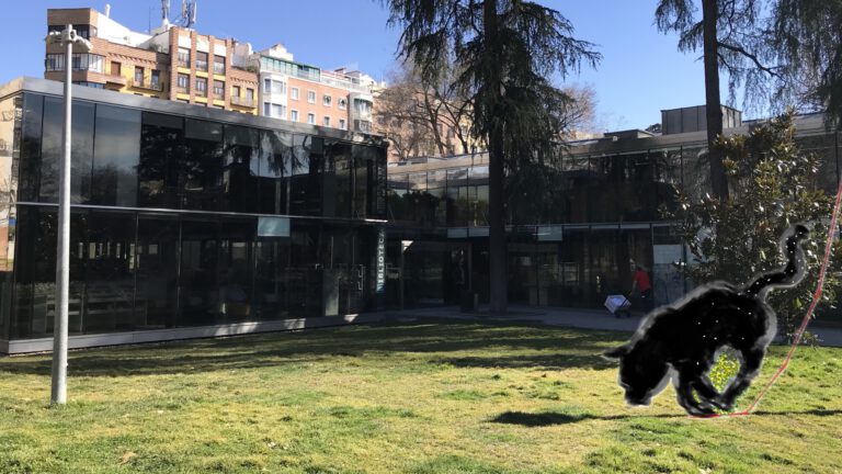 El gato por la cola